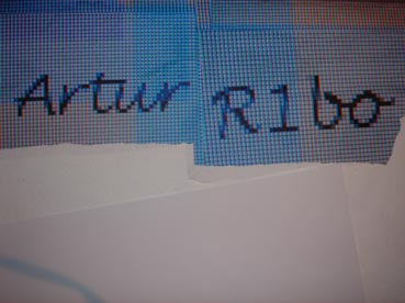 R1bo